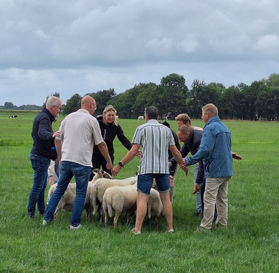 Een dag vol verbinding, inspiratie en plezier: terugblik op de GroenRijk-dag